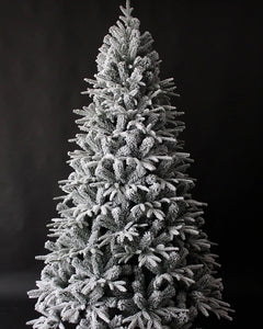 Frosted McKinley Spruce 7ft