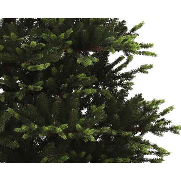 Noble pine-8ft