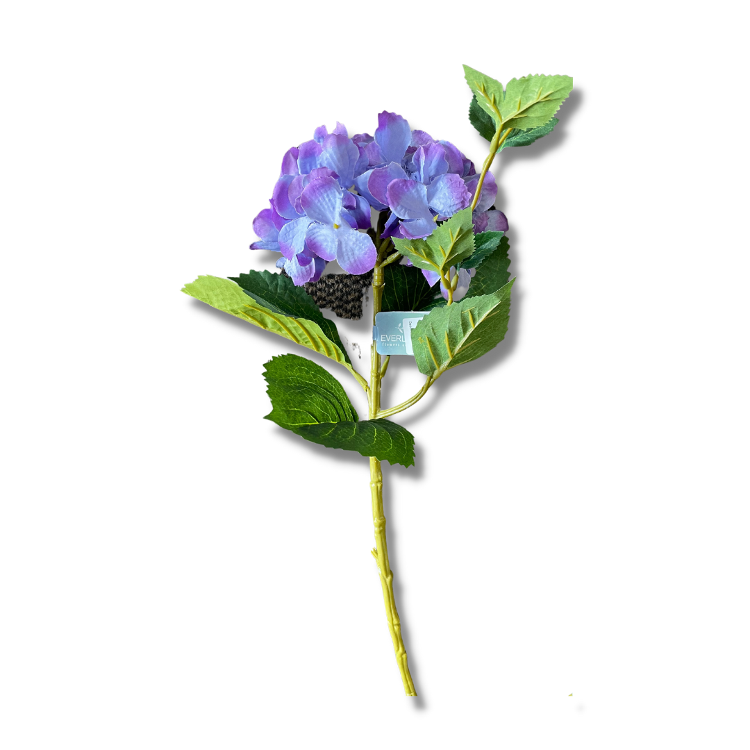 Purple hydrangea stem