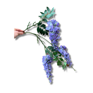Purple wisteria stem