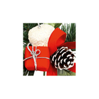 Red & white apple & parcel pick