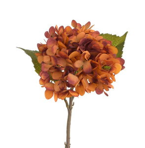 Antique orange hydrangea stem