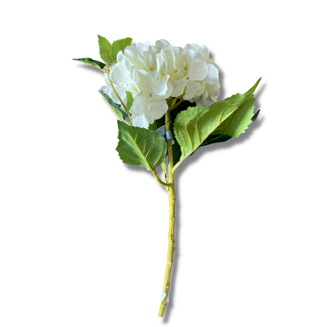 White hydrangea stem