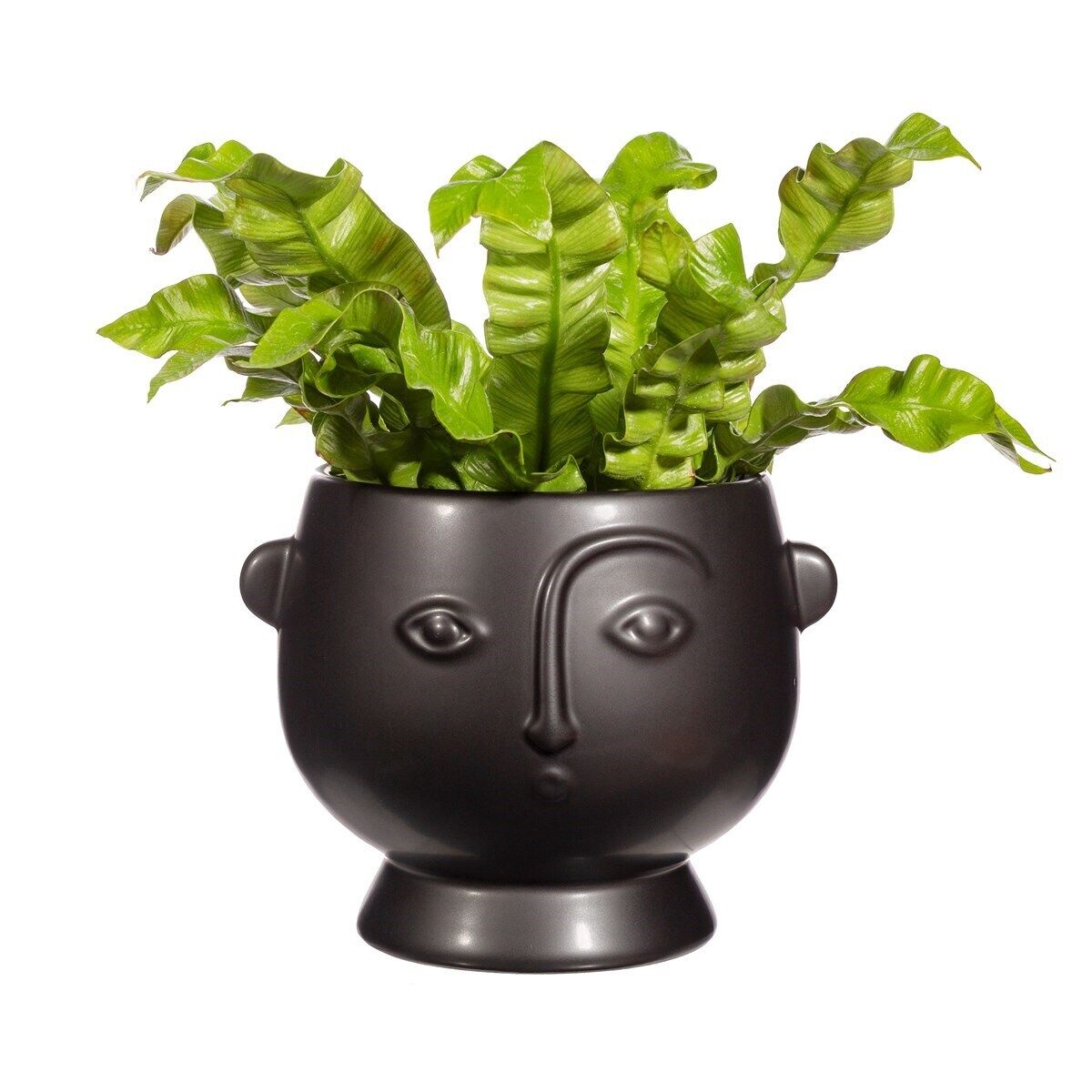 Large face planter in light black